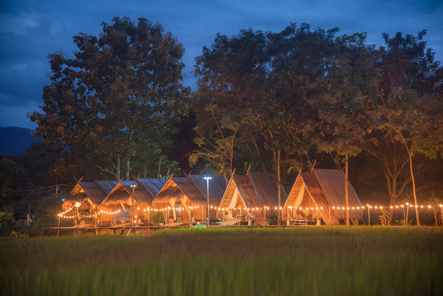 Cover photo of Paddy Fields Haven - Natures Nest Pai